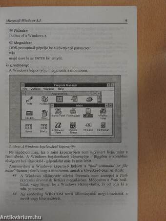 A Windows 3.1