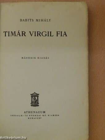 Timár Virgil fia