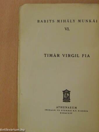 Timár Virgil fia