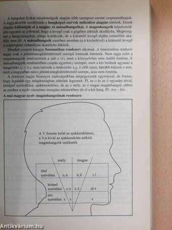 Érettségi tételek - Magyar nyelv