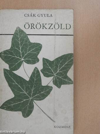 Örökzöld