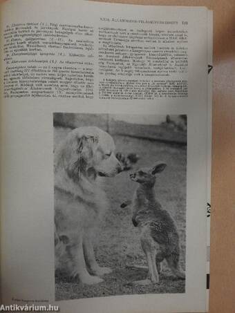 Magyar Állatorvosok Lapja 1984. február