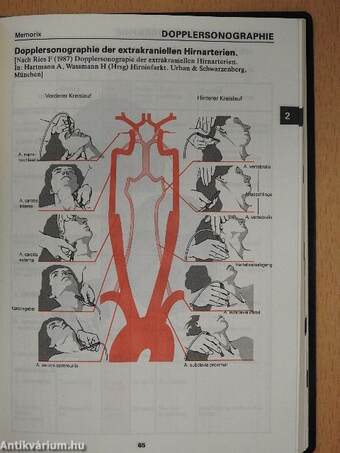 Memorix Spezial - Neurologie