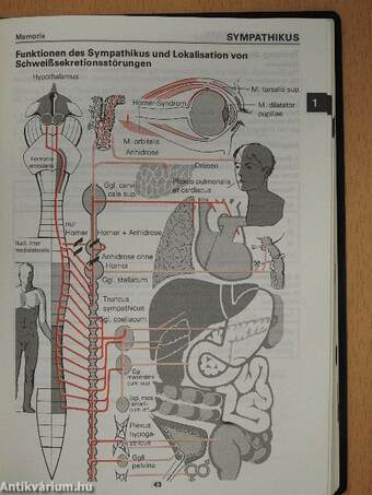 Memorix Spezial - Neurologie