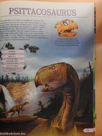 A dinoszauruszok képes atlasza II.