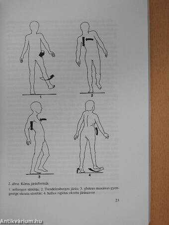 Gyakorlati reumatológia (dedikált példány)