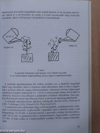 Fólia alatti zöldségtermesztés