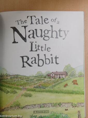 The Tale of a Naughty Little Rabbit