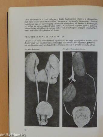 Pathologia 1-2.