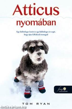 Atticus nyomában - KEMÉNY BORÍTÓS