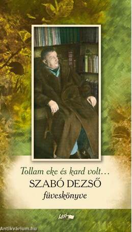 Tollam eke és kard volt... - Szabó Dezső füveskönyve
