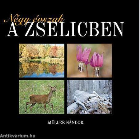 Négy évszak a Zselicben