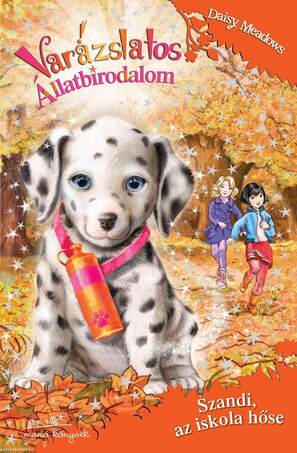 Varázslatos állatbirodalom 25. - Szandi, az iskola hőse [outlet]