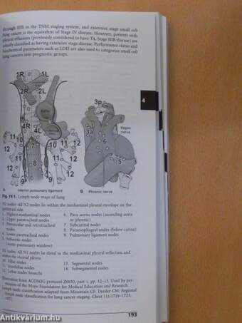 AJCC Cancer Staging Handbook