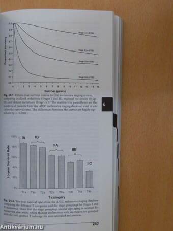 AJCC Cancer Staging Handbook