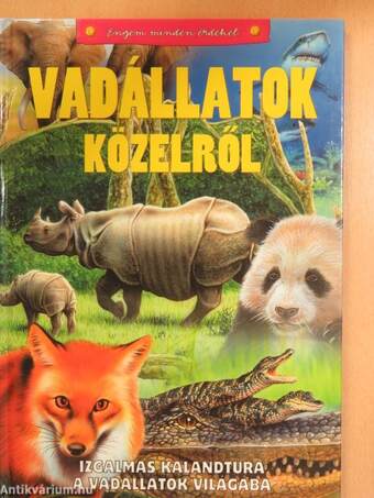 Vadállatok közelről