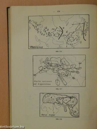 Lehrbuch der Allgemeinen Zoogeographie