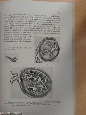 Biochemia II.