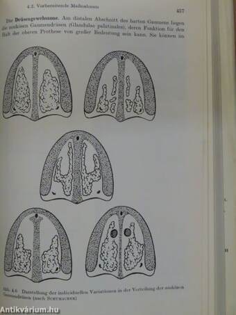 Prothetische Stomatologie