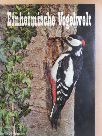 Einheimische Vogelwelt