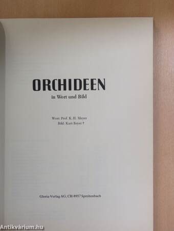 Orchideen