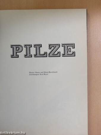 Pilze