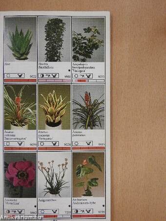 Potplanten/Pot Plants/Topfpflanzen/Plantes en pot/Piante da vaso/Planta en particular 1989/90