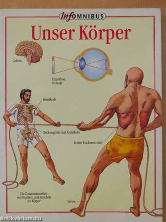 Unser Körper