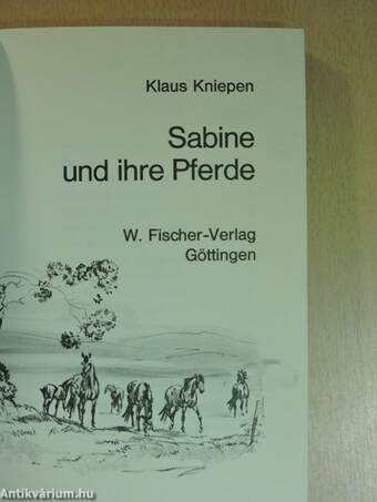 Sabine und ihre Pferde