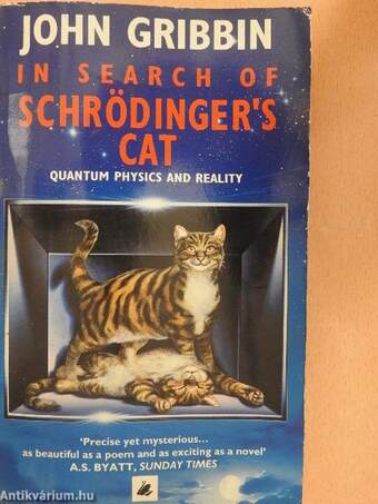 In Search of Schrödinger's Cat