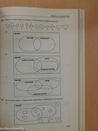 Matematika összefoglaló feladatgyűjtemény 10-14 éveseknek