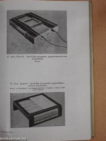 Aminosavak, peptidek, fehérjék