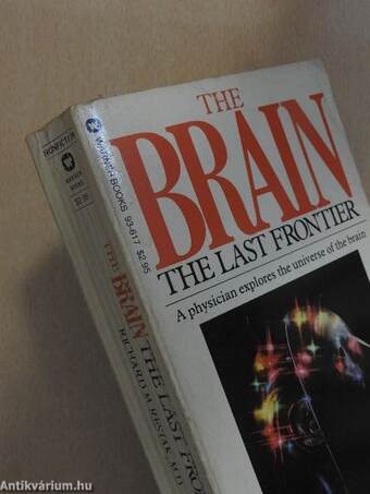 The Brain