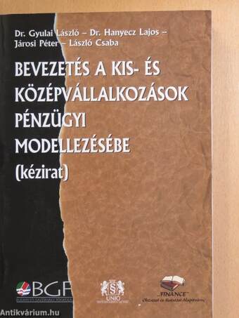 Bevezetés a kis- és középvállalkozások pénzügyi modellezésébe