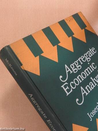 Aggregate Economic Analysis