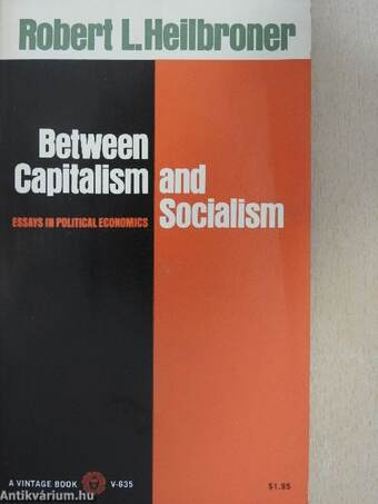 Between Capitalism and Socialism