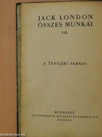 A tengeri farkas