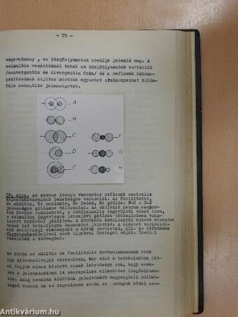 A vasomotor reflex-mechanizmusok központi idegrendszeri organisatiójának néhány kérdése