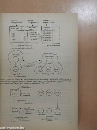 Programozás III.