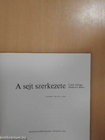 A sejt szerkezete