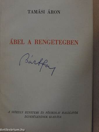 Ábel a rengetegben