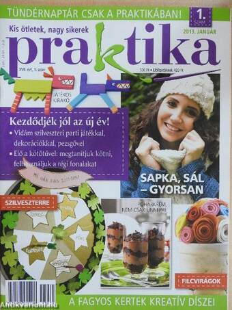 Praktika 2013. január