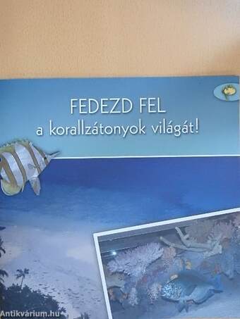 Fedezd fel a korallzátonyok világát!