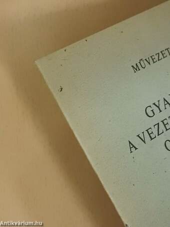 Gyakorlatok a vezetési ismeretek oktatásához II/I.