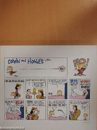 The Complete Calvin and Hobbes I-IV