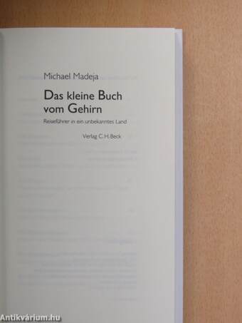 Das kleine Buch vom Gehirn