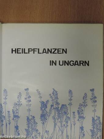 Heilpflanzen in Ungarn