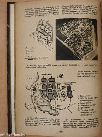 Élővilág 1960. (nem teljes évfolyam)/1961. január-december