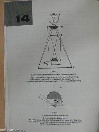 Állattenyésztési biológia 20.