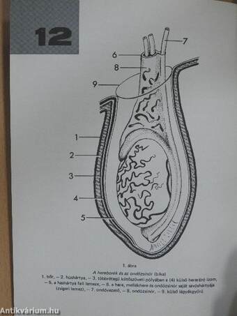 Állattenyésztési biológia 1.